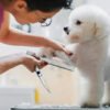 Tijeras Para El Cuidado De Mascotas 4 Tijeras Y 1 Peine en ACERO