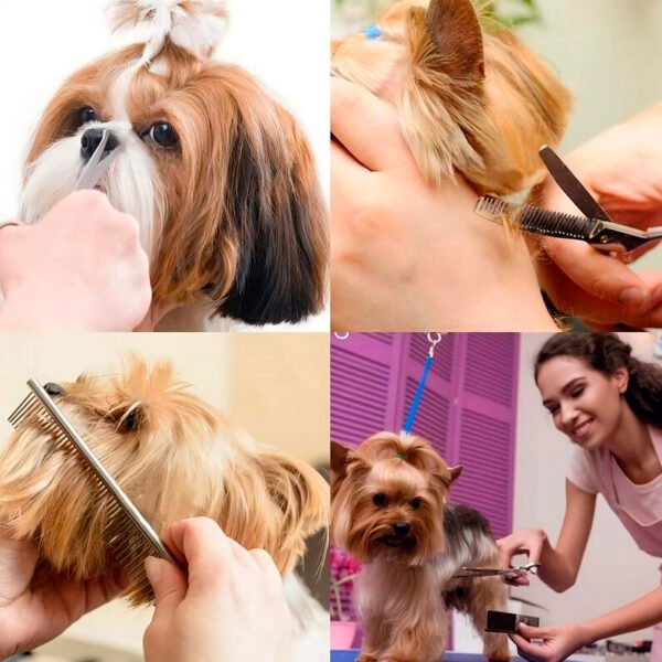 Set de 4 tijera y peine para mascota perro, gato Corte pelo mascota (6) Set 4 Tijeras Acero Para El Cuidado De Mascotas En Acero