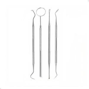 Kit Herramientas Cuidado Dental Higiene Limpieza Dental 4 Piezas