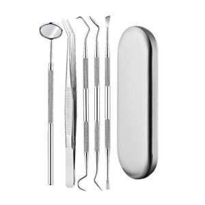 Kit Limpieza Dental 5 Piezas Acero Inoxidable Higiene Diente